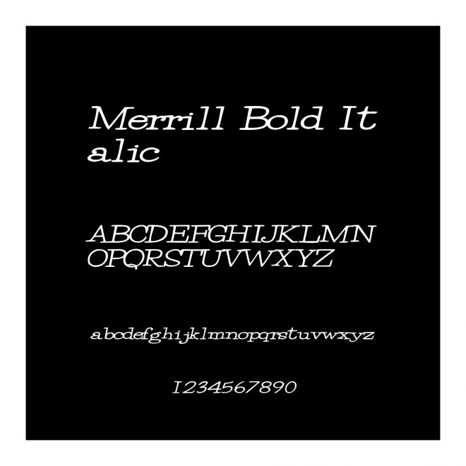 Merrill Bold Italic