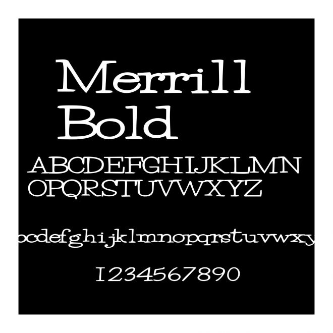 Merrill Bold