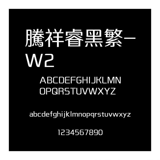 騰祥睿黑繁-W2