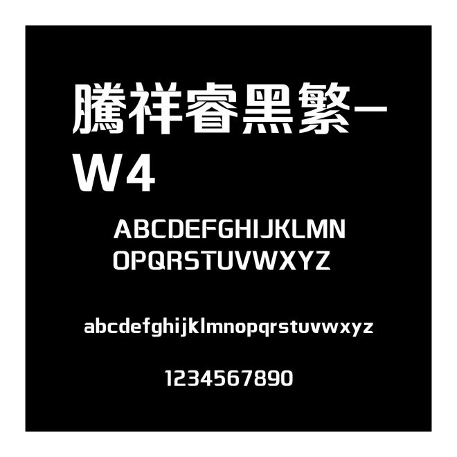 騰祥睿黑繁-W4