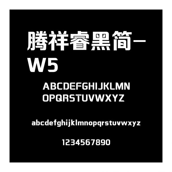 騰祥睿黑簡-W5