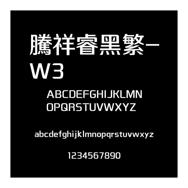 騰祥睿黑繁-W3