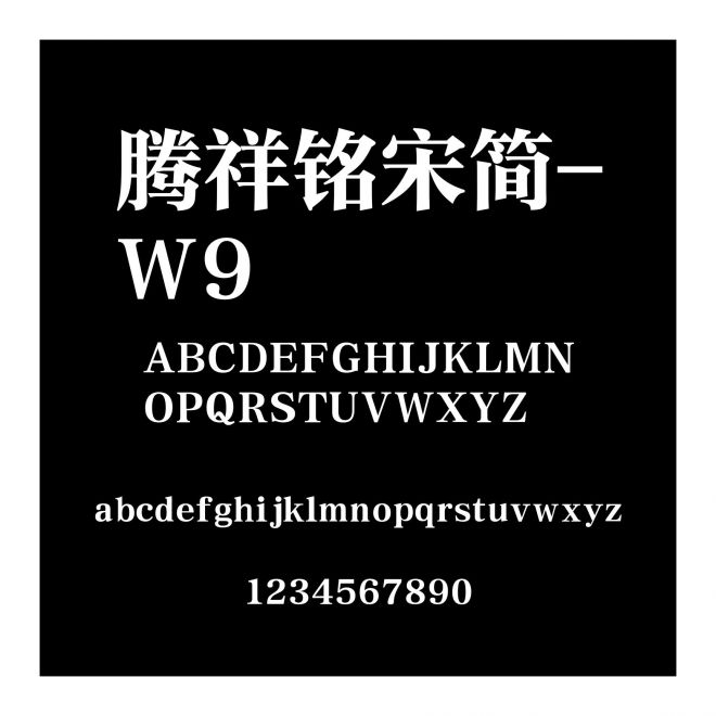 騰祥銘宋簡-W9