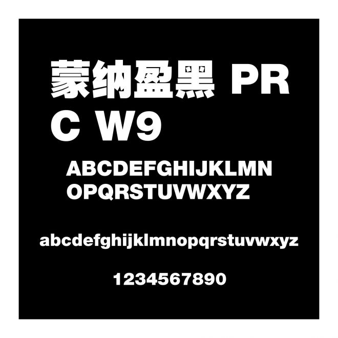 蒙納盈黑 PRC W9