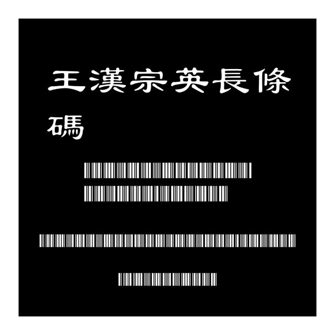 王漢宗英長條碼