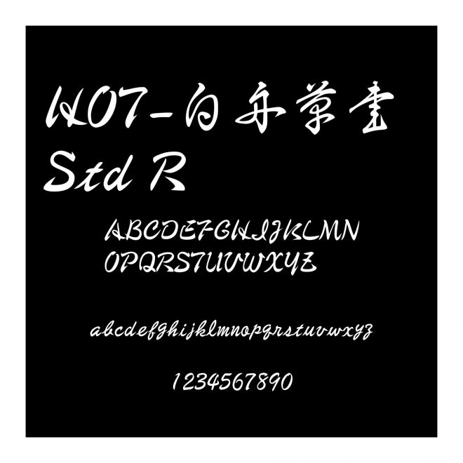 HOT-白舟草書 Std R