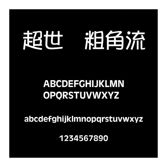 超世紀粗角流