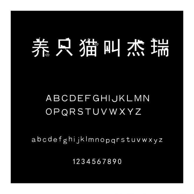 養只貓叫杰瑞