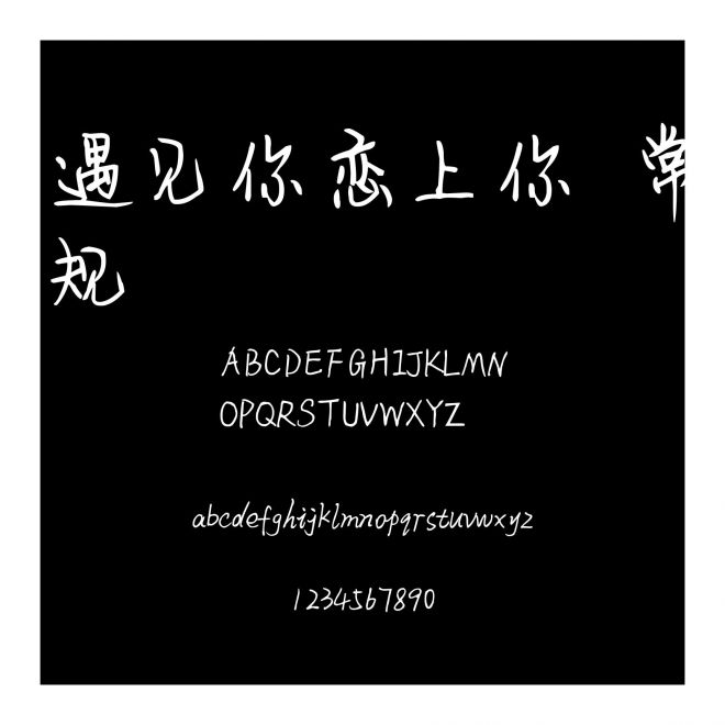遇見你戀上你 常規