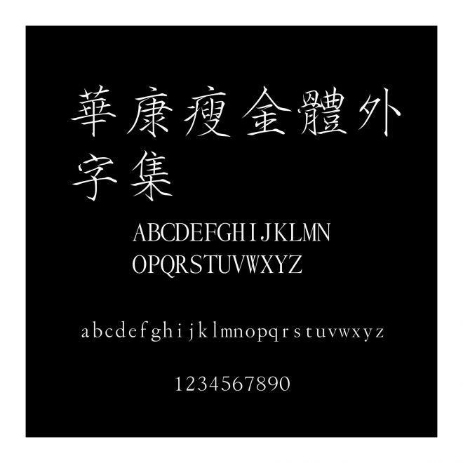 華康瘦金體外字集