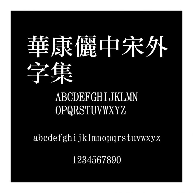 華康儷中宋外字集