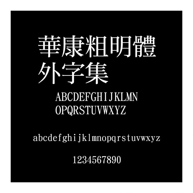 華康粗明體外字集