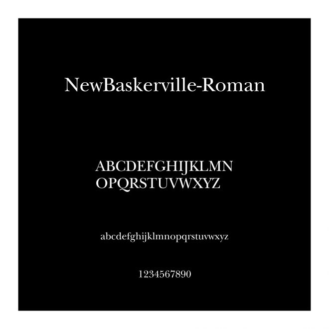 NewBaskerville-Roman