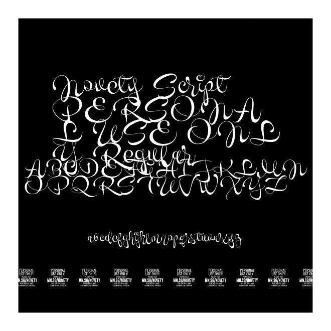 Novety Script PERSONAL USE ONLY Regular