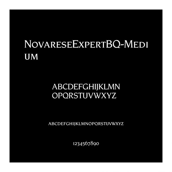NovareseExpertBQ-Medium