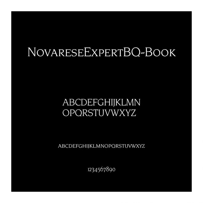 NovareseExpertBQ-Book