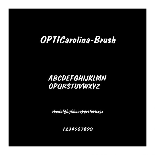 OPTICarolina-Brush