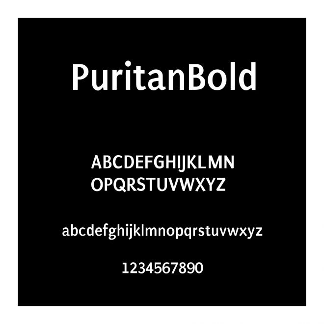 Puritan Bold