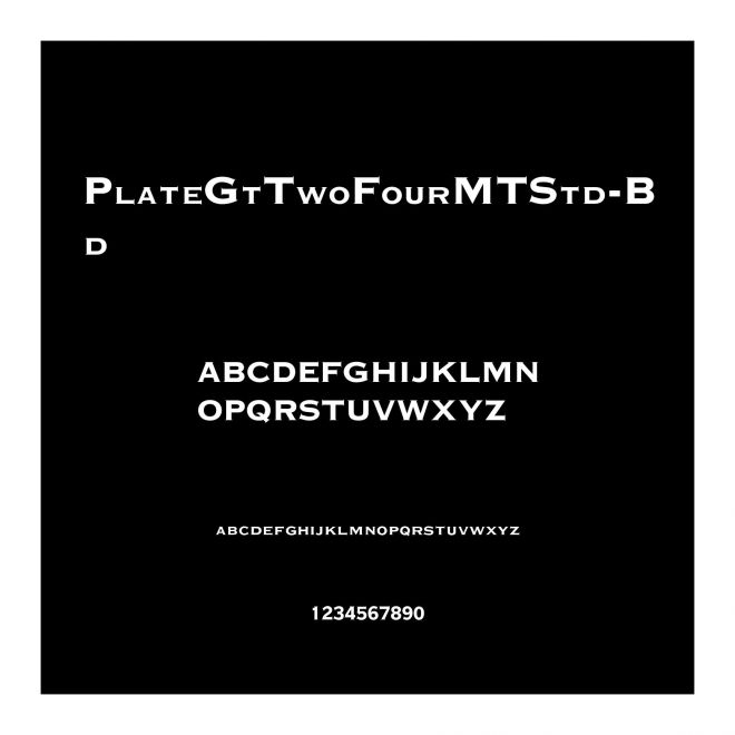 PlateGtTwoFourMTStd-Bd