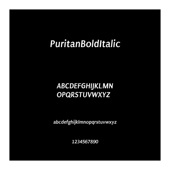 Puritan Bold Italic