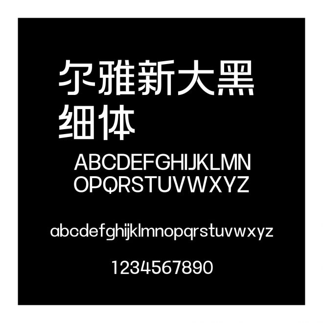 爾雅新大黑 細體
