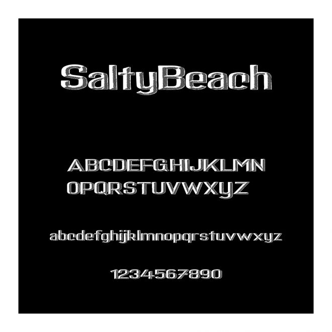 SaltyBeach