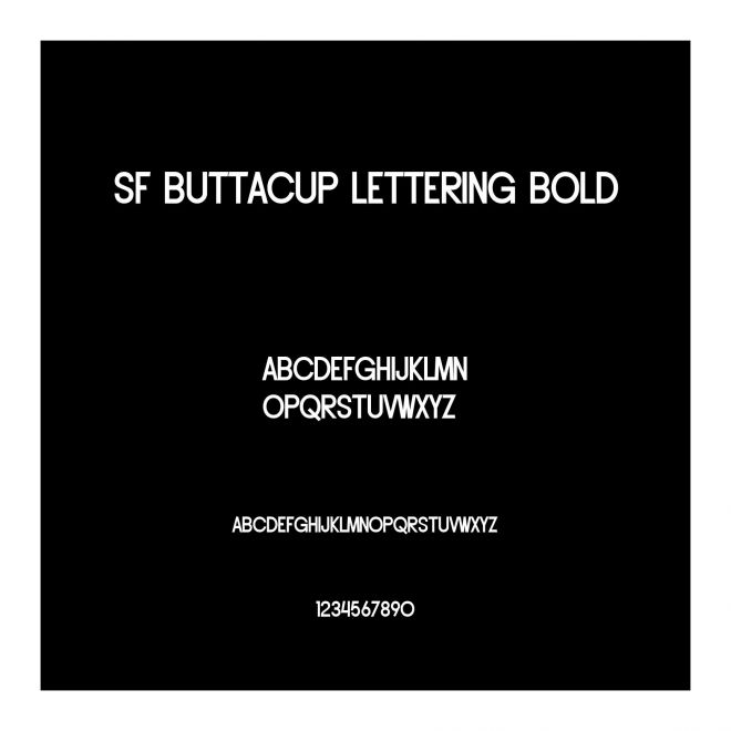 SF Buttacup Lettering Bold