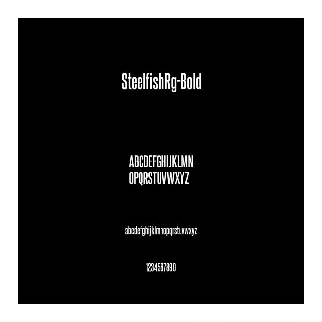 SteelfishRg-Bold