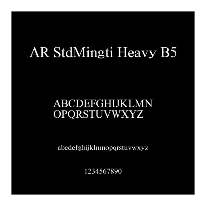 AR StdMingti Heavy B5