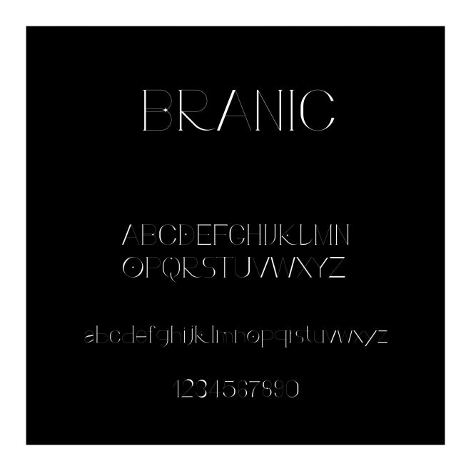 BRANIC