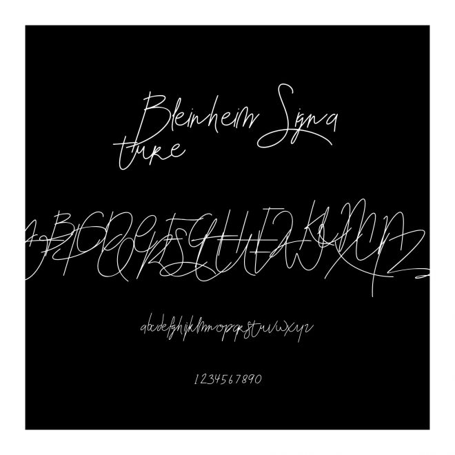 Bleinheim Signature