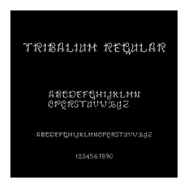 Tribalium Regular