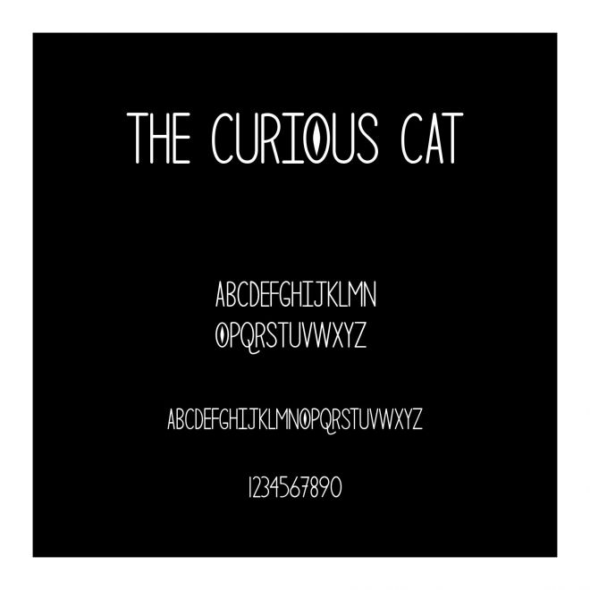 The Curious Cat