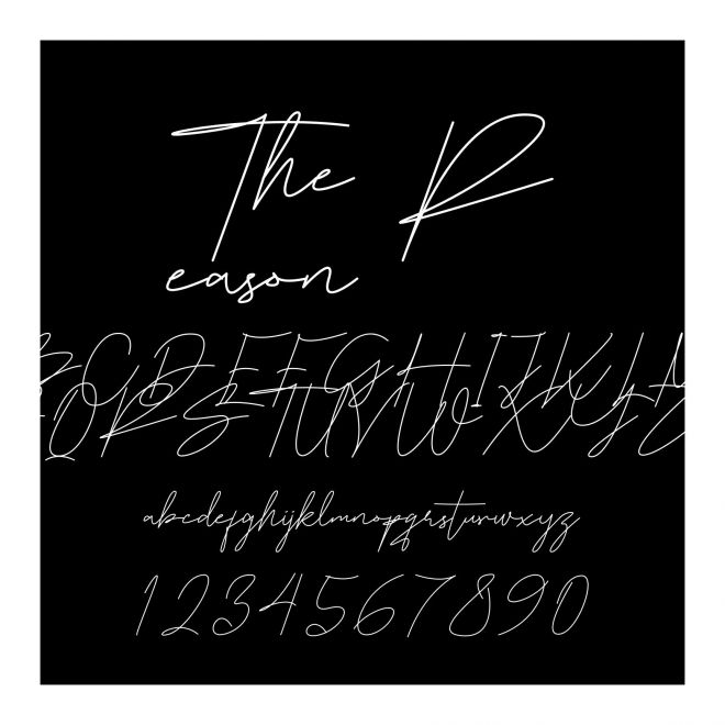 The Reason