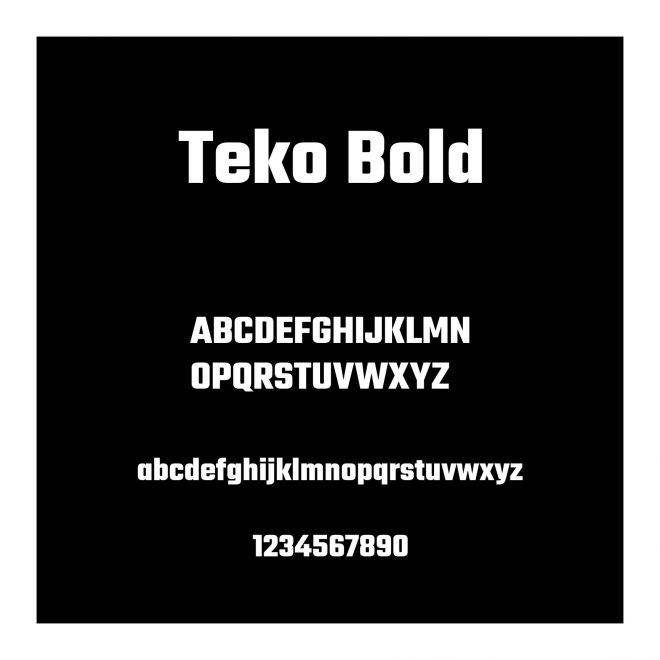 Teko Bold