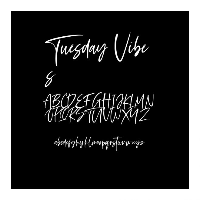 Tuesday Vibes