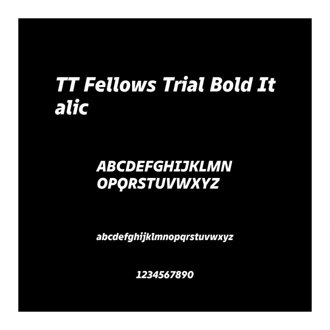 TT Fellows Trial Bold Italic