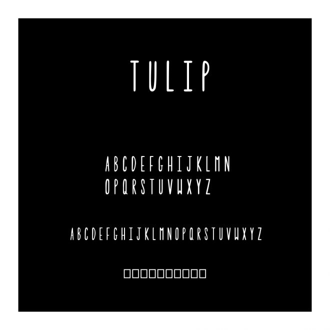 Tulip