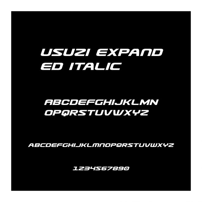 Usuzi Expanded Italic