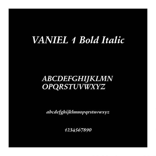 VANIEL 1 Bold Italic