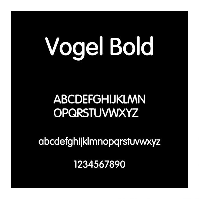 Vogel Bold