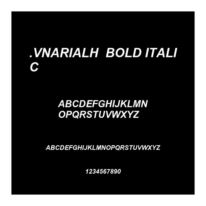 .VnArialH  Bold Italic