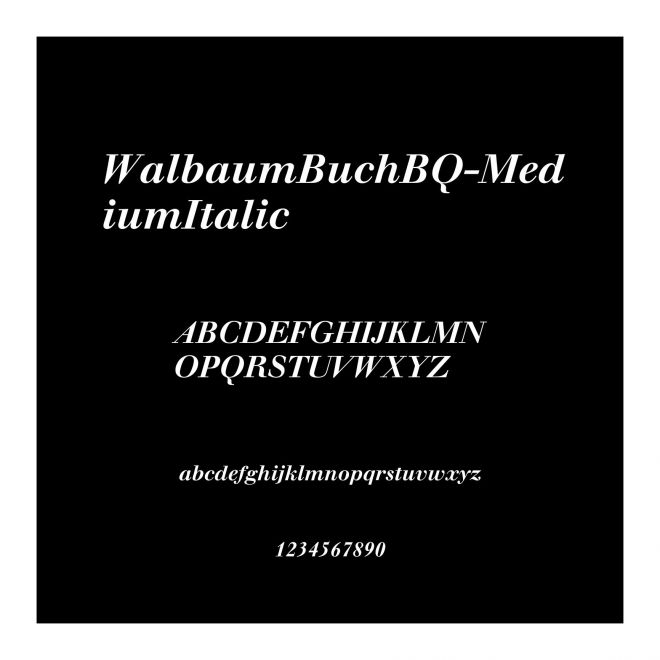 WalbaumBuchBQ-MediumItalic