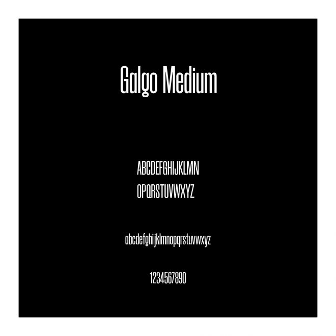Galgo Medium