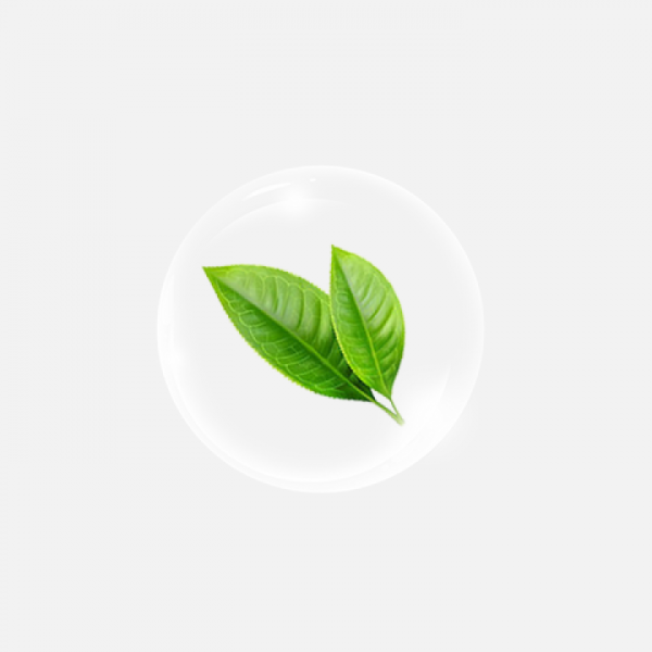 透明草