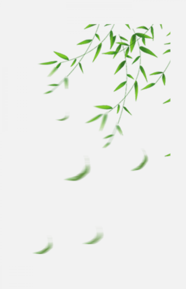 柳葉