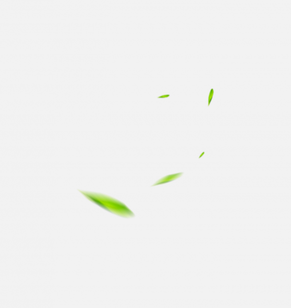 綠葉樹葉葉子漂浮裝飾png