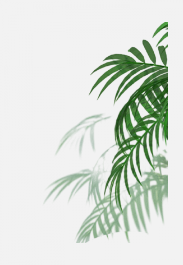葉子樹葉png