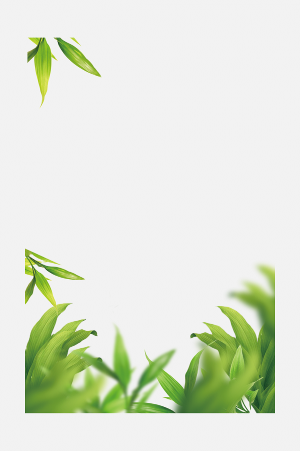 樹葉葉子png