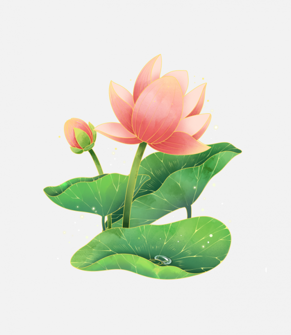 蓮